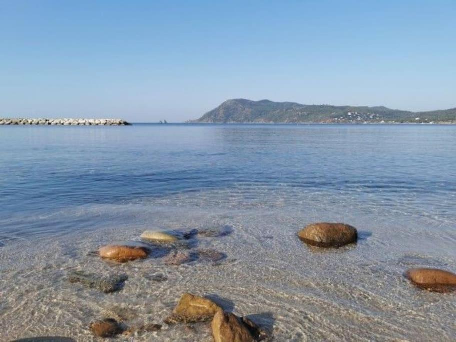 Charmant Studio Climatise 24 M2 Terrasse A 100M De La Plage Saint-Mandrier-sur-Mer Luaran gambar
