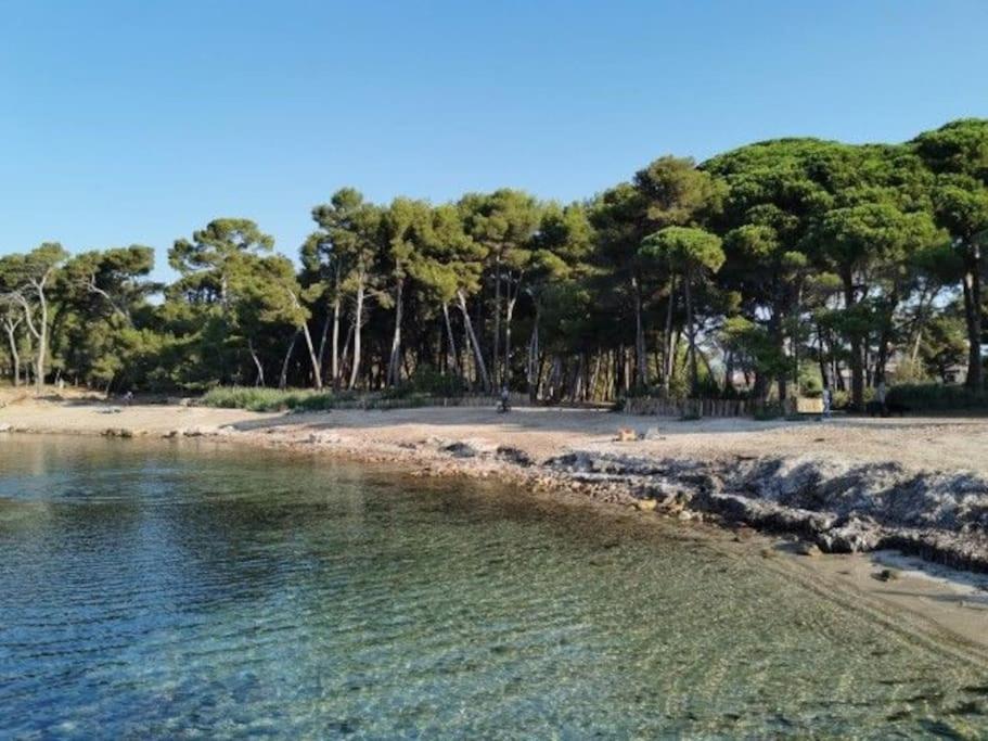 Charmant Studio Climatise 24 M2 Terrasse A 100M De La Plage Saint-Mandrier-sur-Mer Luaran gambar